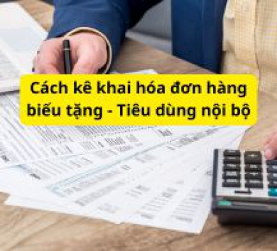 Cách kê khai hóa đơn hàng biếu tặng - Tiêu dùng nội bộ