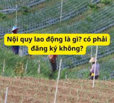  Nội quy lao động là gì? có phải đăng ký không?