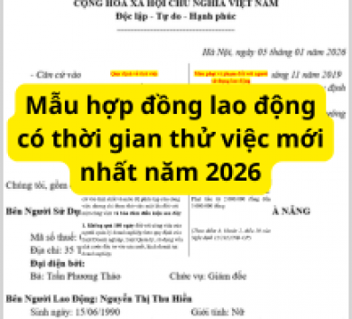 Mẫu hợp đồng lao động có thời gian thử việc mới nhất năm 2026