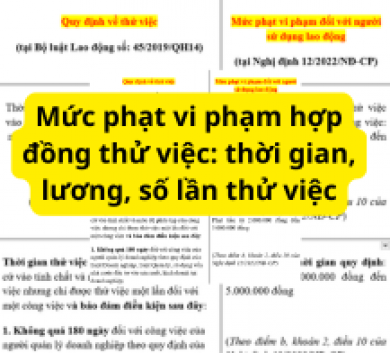 Mức phạt vi phạm hợp đồng thử việc: thời gian, lương, số lần thử việc