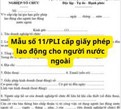 Mẫu số 11/PLI cấp giấy phép lao động cho người nước ngoài