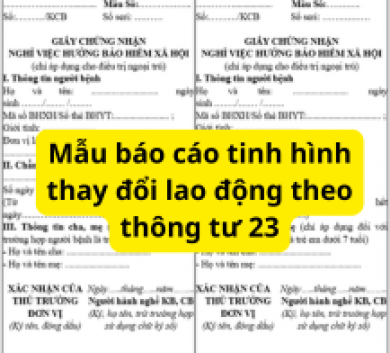 Mẫu báo cáo tinh hình thay đổi lao động theo thông tư 23