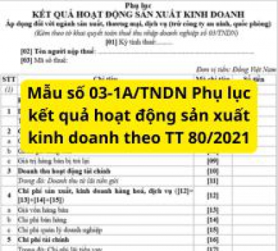Mẫu số 03-1A/TNDN Phụ lục kết quả hoạt động sản xuất kinh doanh theo TT 80/2021