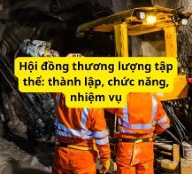 Hội đồng thương lượng tập thể: thành lập, chức năng, nhiệm vụ