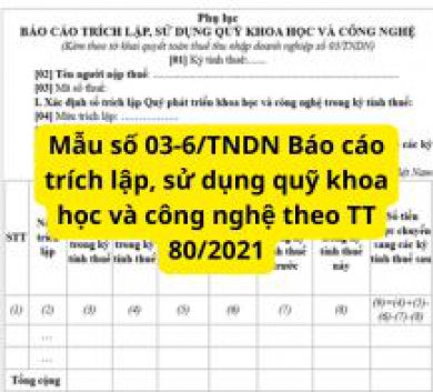 Mẫu số 03-6/TNDN Báo cáo trích lập, sử dụng quỹ khoa học và công nghệ theo TT 80/2021