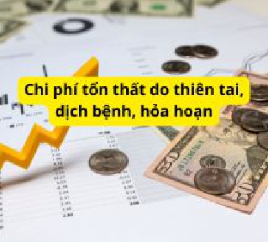 Chi phí tổn thất do thiên tai, dịch bệnh, hỏa hoạn
