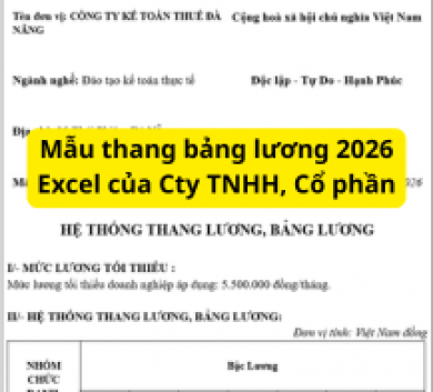 Mẫu thang bảng lương 2026 Excel của Cty TNHH, Cổ phần