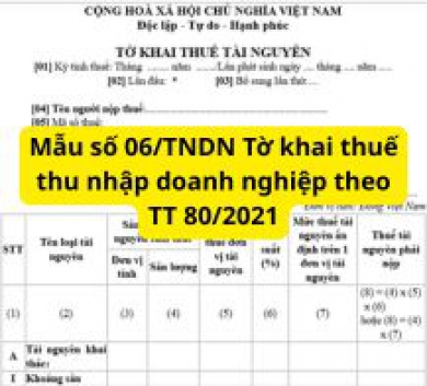 Mẫu số 06/TNDN Tờ khai thuế thu nhập doanh nghiệp theo TT 80/2021