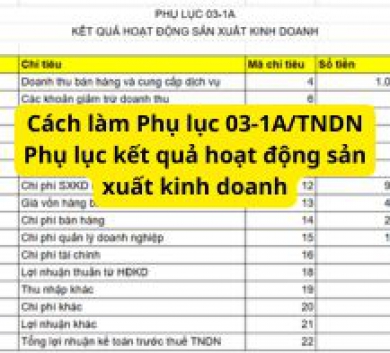 Cách làm Phụ lục 03-1A/TNDN Phụ lục kết quả hoạt động sản xuất kinh doanh
