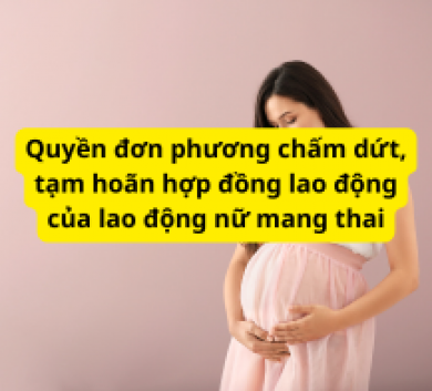 Quyền đơn phương chấm dứt, tạm hoãn hợp đồng lao động của lao động nữ mang thai