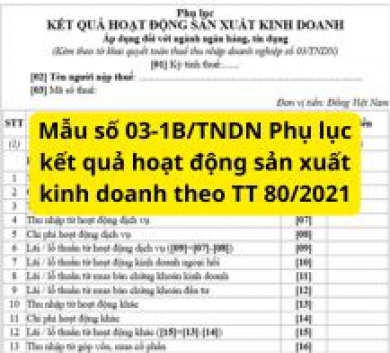 Mẫu số 03-1B/TNDN Phụ lục kết quả hoạt động sản xuất kinh doanh theo TT 80/2021