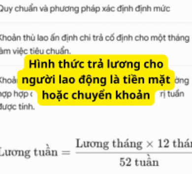 Hình thức trả lương cho người lao động là tiền mặt hoặc chuyển khoản