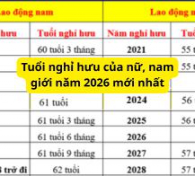 Tuổi nghỉ hưu của nữ, nam giới năm 2026 mới nhất