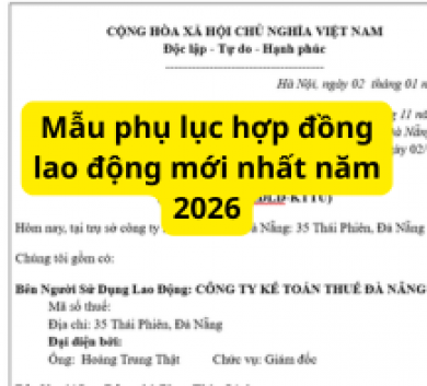 Mẫu phụ lục hợp đồng lao động mới nhất năm 2026